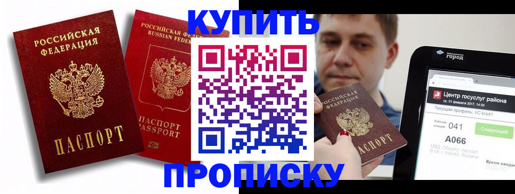 прописка регистрация в Мончегорске